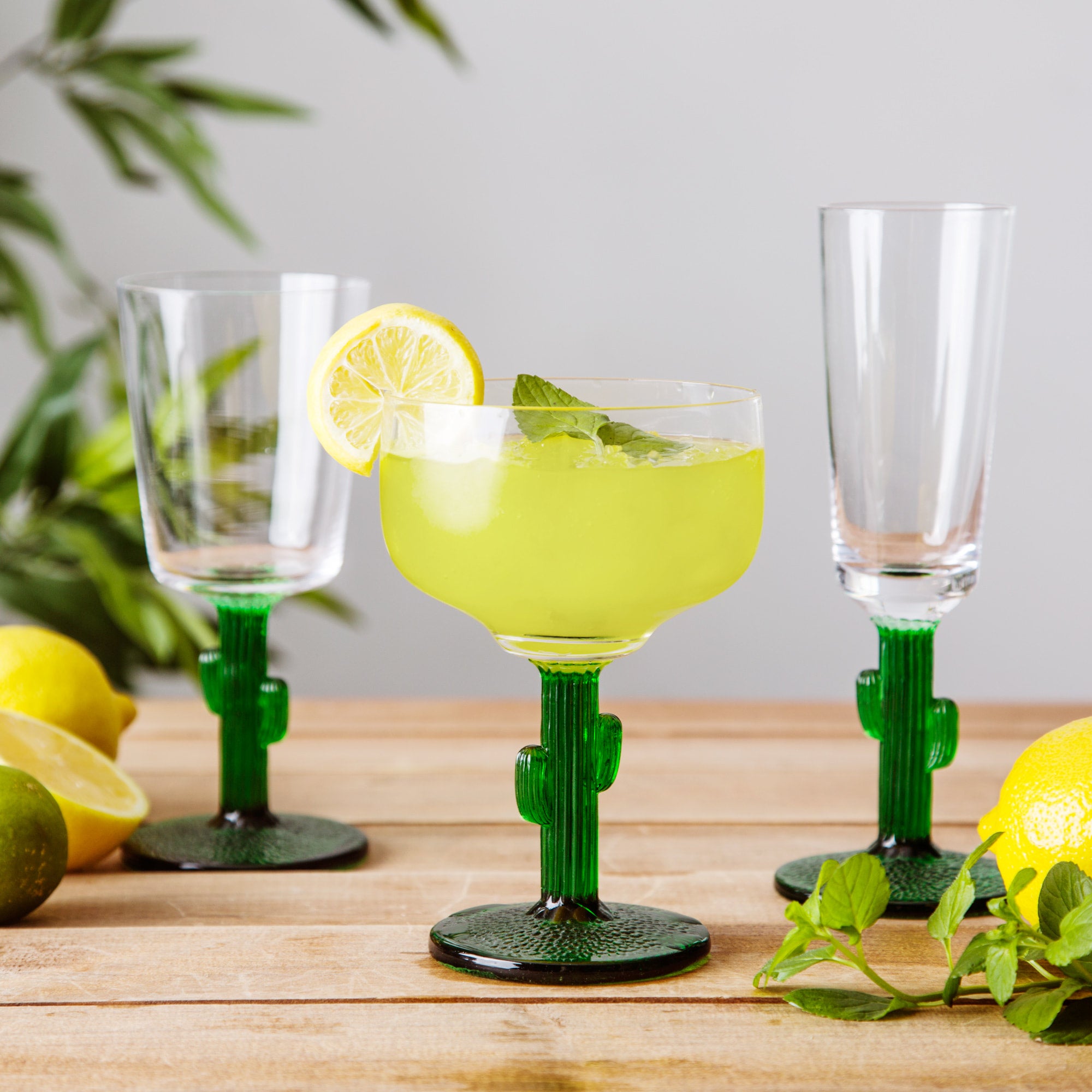 Cactus Margarita Glass | Beasties